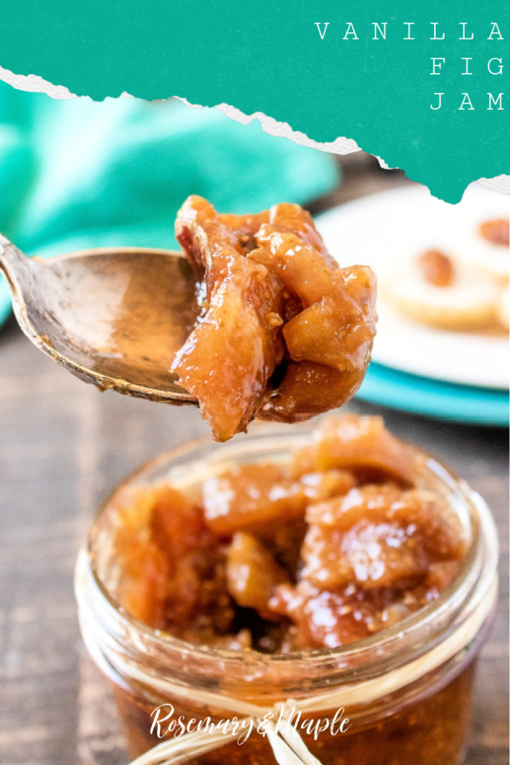 This easy homemade Vanilla Fig Jam is perfect spread all over buttery toast or used in your favourite recipe calling for fig preserves.