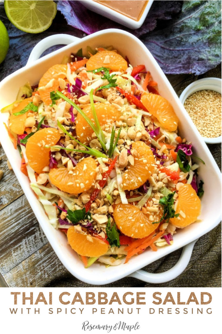 This Thai Cabbage Salad with Spicy Peanut Dressing is a satisfyingly crunchy cabbage salad loaded with a warm and spicy peanut dressing. If you love Thai chicken satay and that incredible zingy peanut sauce that accompanies it, you will love this salad. 