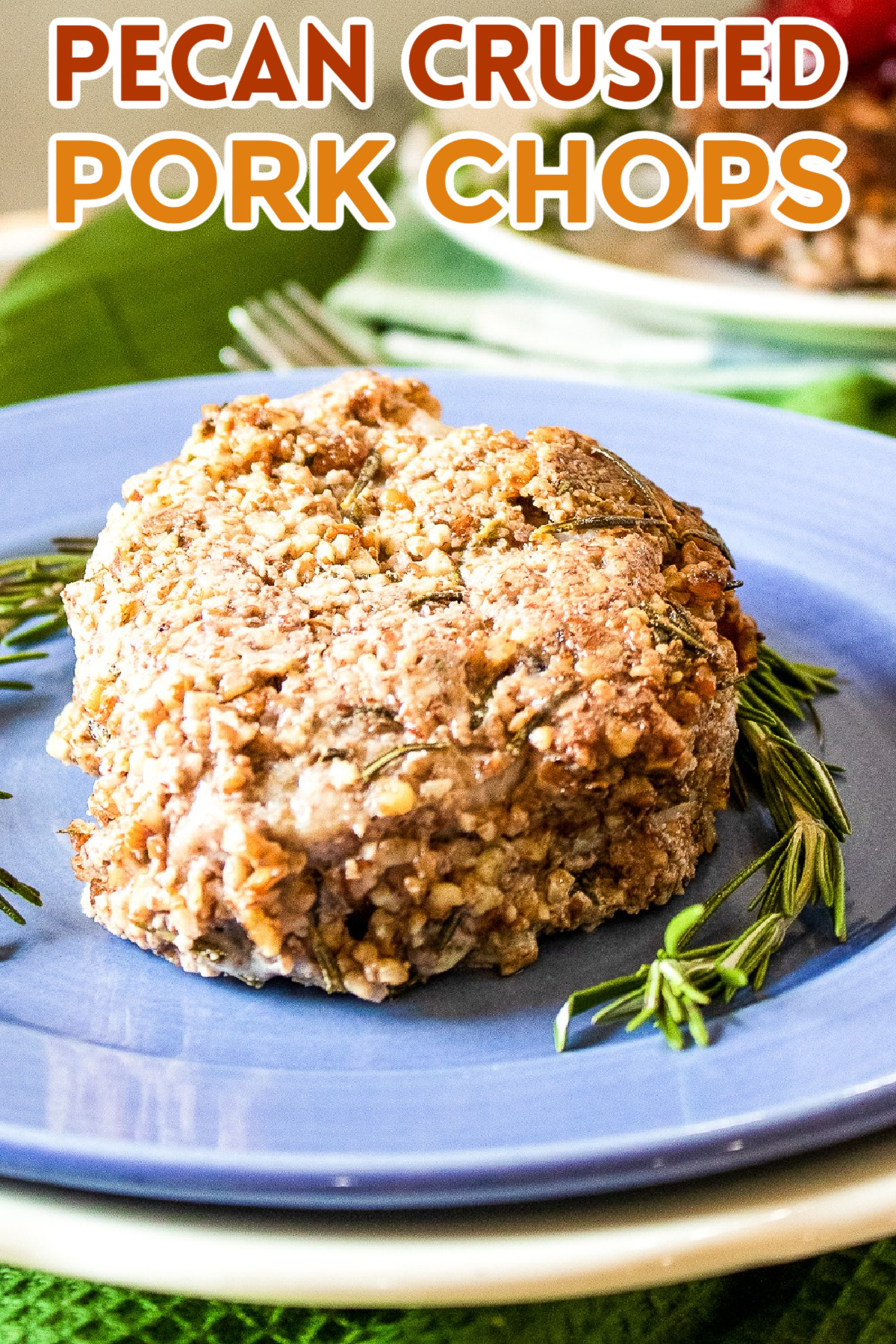 Looking for a great new recipe? These pecan crusted pork chops will win you over! The plum sauce is so good that it's sure to be a favorite!