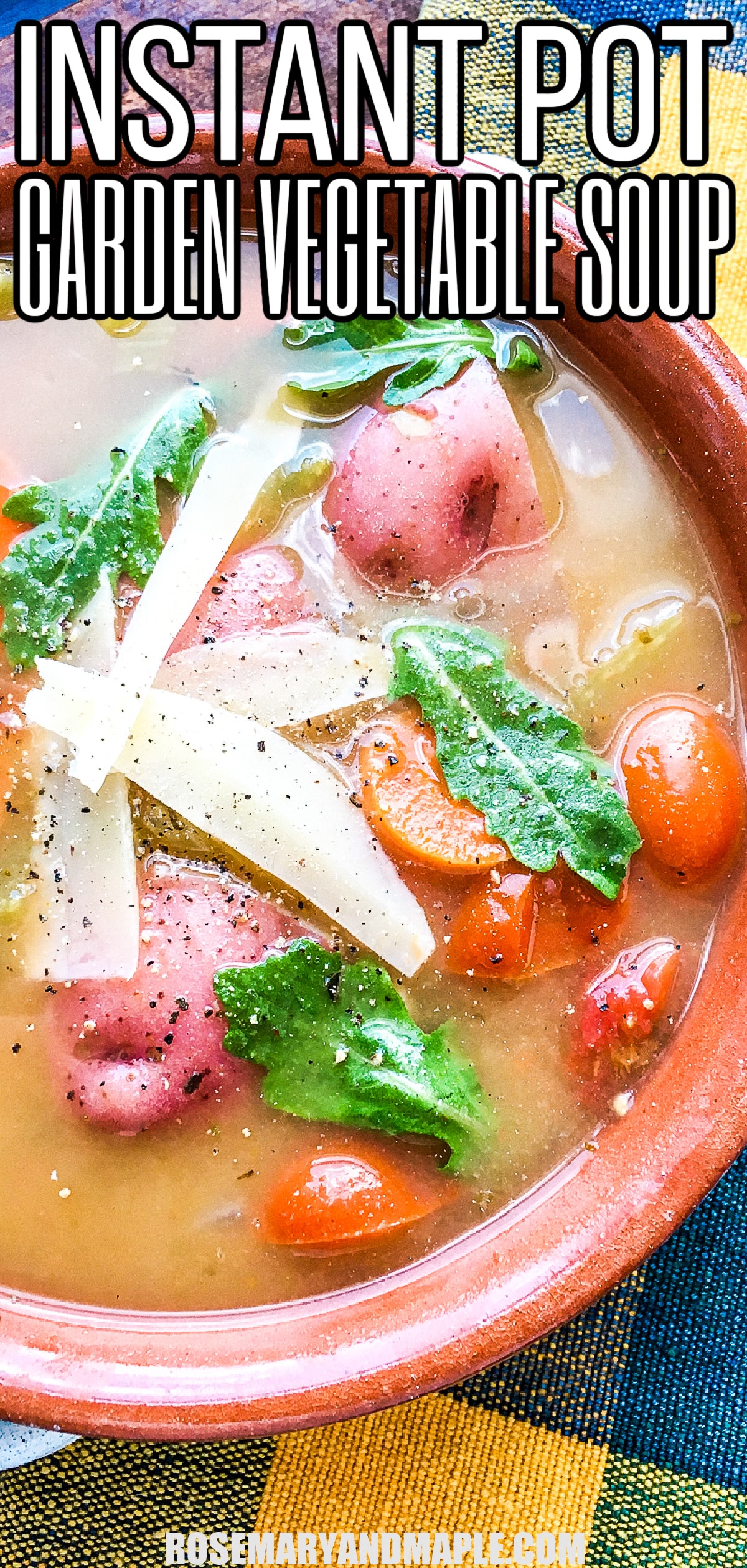 Easy Instant Pot Vegetable Soup Recipe - Rosemary & Maple