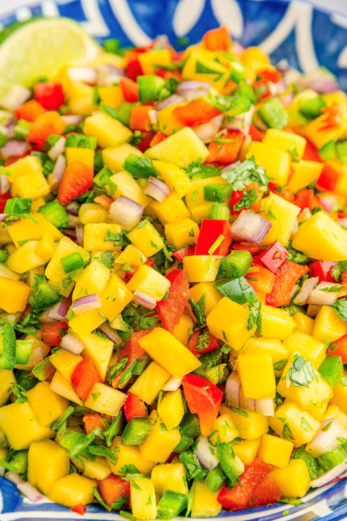 Brighten up your summer menu with this bright and zesty mango salsa. Whip it up and enjoy a tasty mix of sweet, savoury, and tangy flavours!